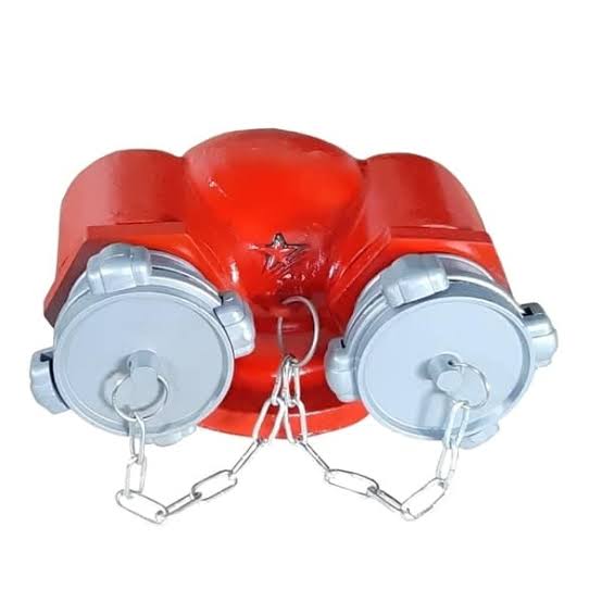 Họng tiếp nước chữa cháy (Họng chờ cấp nước vách tường/ngoài trời)